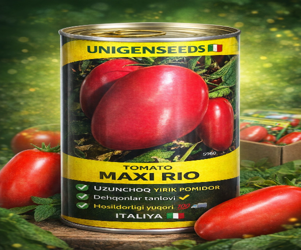 MAXI RIO uzunchoq yirik🍅