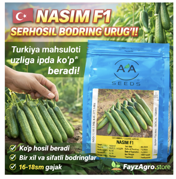 NASIM F1 🥒