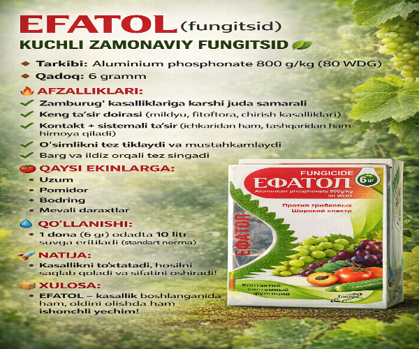 Efatol