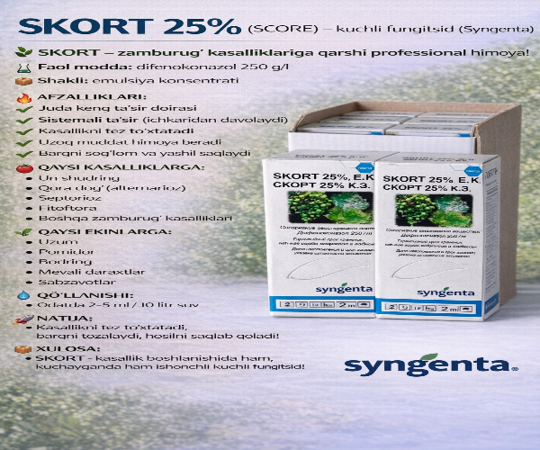 SKORT 25%