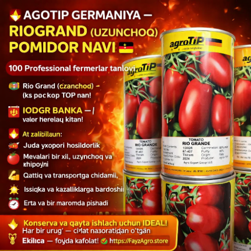 Rio grand pomidor