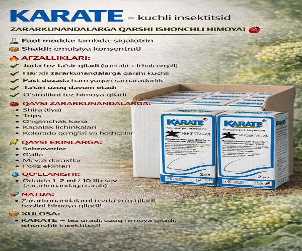 KARATE
