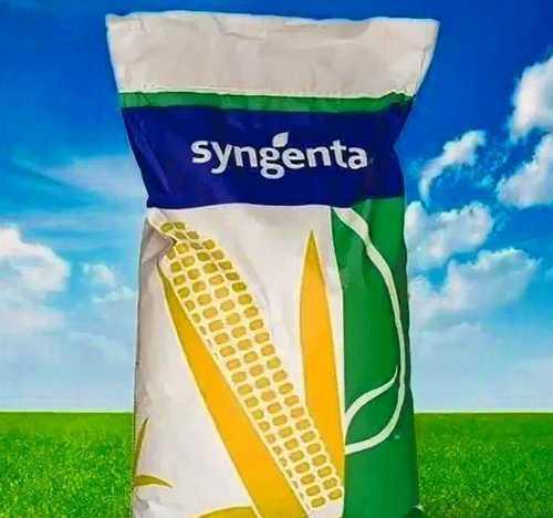 SYUNGENTA makkajoʻxori 4