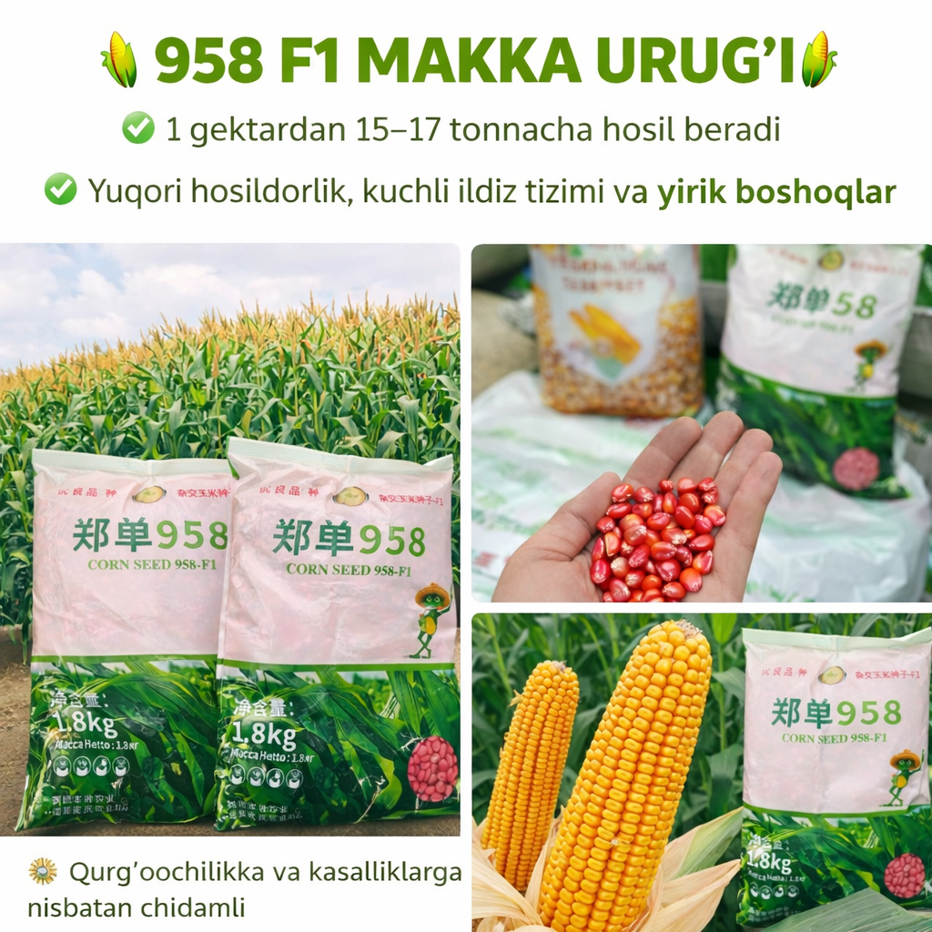 958 F1 Makka urugʻi 1