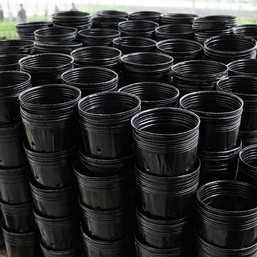 8x8 urugʻ ekish uchun kulokchalar 1