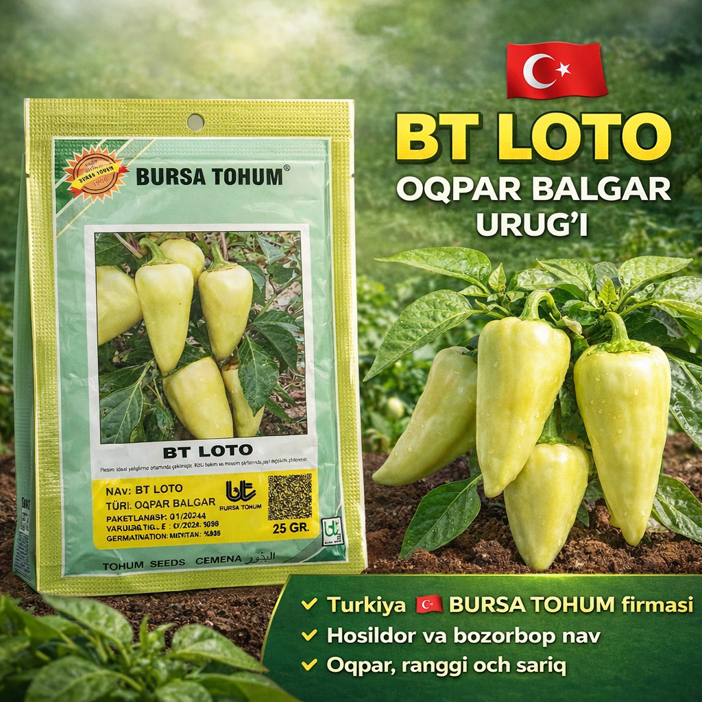 Oqpar balgar BT LOTO F1 1