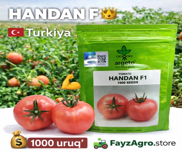 Handan F1 pushti 🍅 1