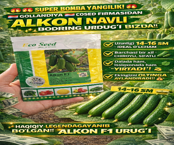 ALKON F1 bodring