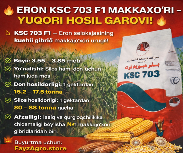 ERON KSC 703 Makka urugʻi