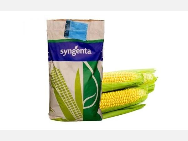 SYUNGENTA makkajoʻxori 1