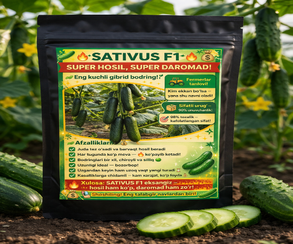 Sativus F1 bodring