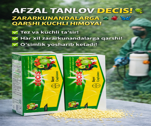 DECIS zahar