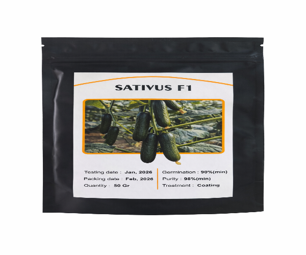 Sativus F1 bodring