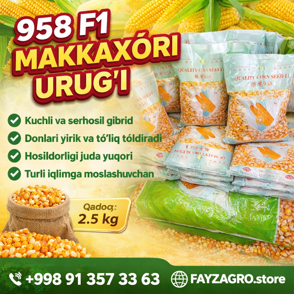 958 F1 Makka urugʻi