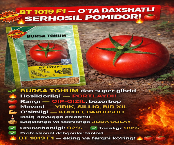 BT 1019 F1 🍅