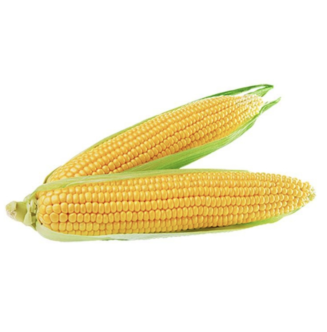 SWEETTO F1 MAKKAJOʻXORI 2