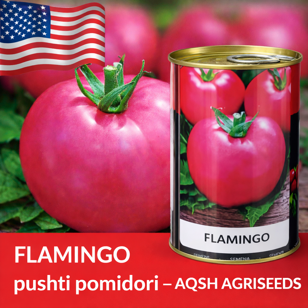 FLAMINGO pushti 🍅