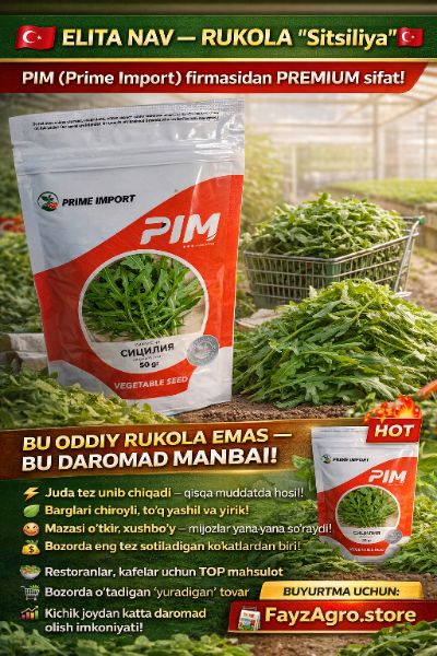 RUKOLA
